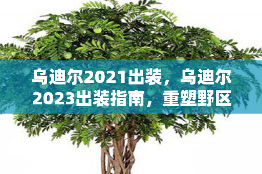 乌迪尔2021出装，乌迪尔2023出装指南，重塑野区霸主地位