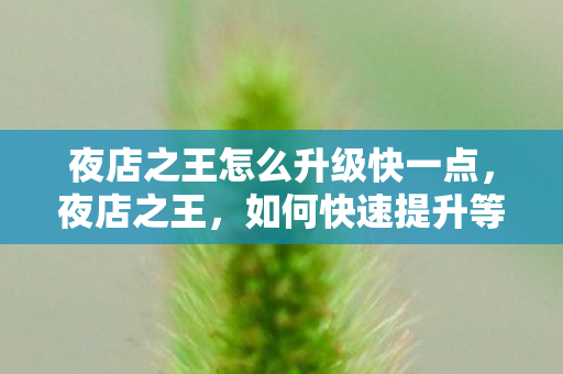 夜店之王怎么升级快一点,夜店之王,如何快速提升等级 夜店之王怎么升级快一点,夜店之王,如何快速提升等级