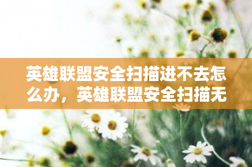 英雄联盟安全扫描进不去怎么办,英雄联盟安全扫描无法进入的解决方法 英雄联盟安全扫描进不去怎么办,英雄联盟安全扫描无法进入的解决方法