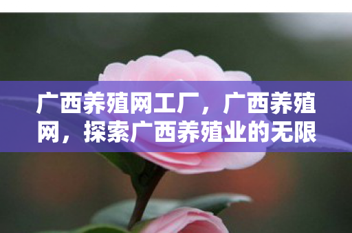 广西养殖网工厂,广西养殖网,探索广西养殖业的无限可能 广西养殖网工厂,广西养殖网,探索广西养殖业的无限可能