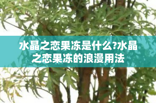 水晶之恋果冻是什么?水晶之恋果冻的浪漫用法 水晶之恋果冻是什么?水晶之恋果冻的浪漫用法