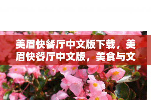 美眉快餐厅中文版下载,美眉快餐厅中文版,美食与文化的完美融合 美眉快餐厅中文版下载,美眉快餐厅中文版,美食与文化的完美融合