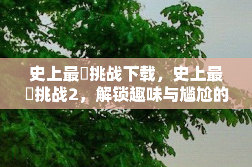 史上最囧挑战下载，史上最囧挑战2，解锁趣味与尴尬的极限