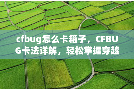 cfbug怎么卡箱子,CFBUG卡法详解,轻松掌握穿越火线的BUG技巧 cfbug怎么卡箱子,CFBUG卡法详解,轻松掌握穿越火线的BUG技巧