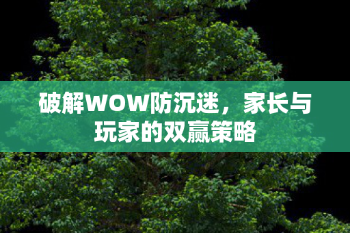 破解WOW防沉迷,家长与玩家的双赢策略 破解WOW防沉迷,家长与玩家的双赢策略