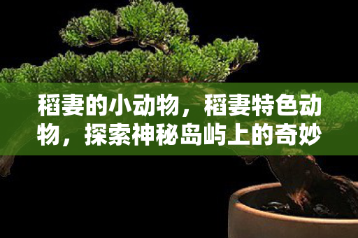 稻妻的小动物,稻妻特色动物,探索神秘岛屿上的奇妙生灵 稻妻的小动物,稻妻特色动物,探索神秘岛屿上的奇妙生灵