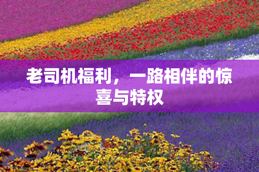 老司机福利,一路相伴的惊喜与特权 老司机福利,一路相伴的惊喜与特权