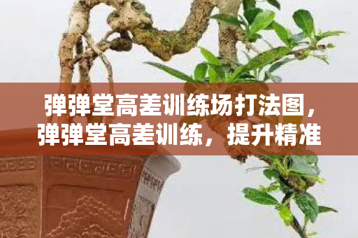 弹弹堂高差训练场打法图,弹弹堂高差训练,提升精准射击的秘诀 弹弹堂高差训练场打法图,弹弹堂高差训练,提升精准射击的秘诀
