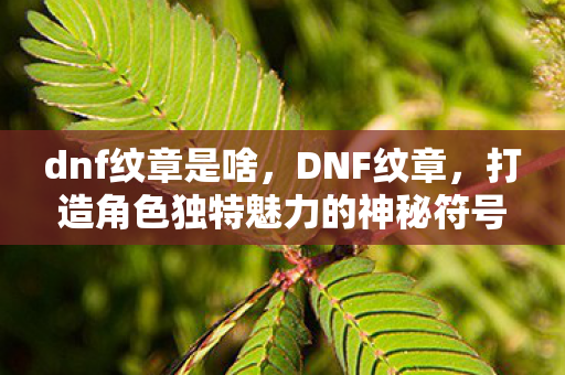 dnf纹章是啥,DNF纹章,打造角色独特魅力的神秘符号 dnf纹章是啥,DNF纹章,打造角色独特魅力的神秘符号