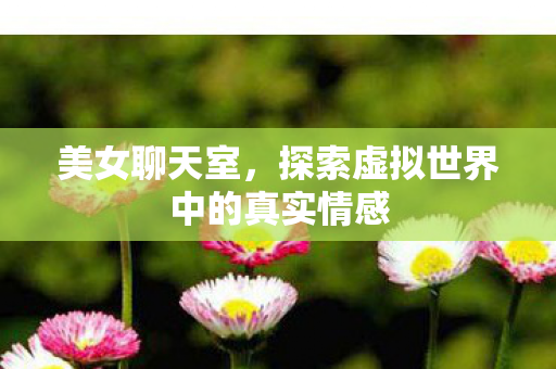 美女聊天室，探索虚拟世界中的真实情感