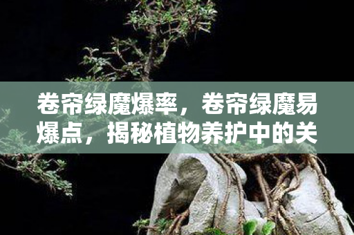 卷帘绿魔爆率,卷帘绿魔易爆点,揭秘植物养护中的关键要素 卷帘绿魔爆率,卷帘绿魔易爆点,揭秘植物养护中的关键要素