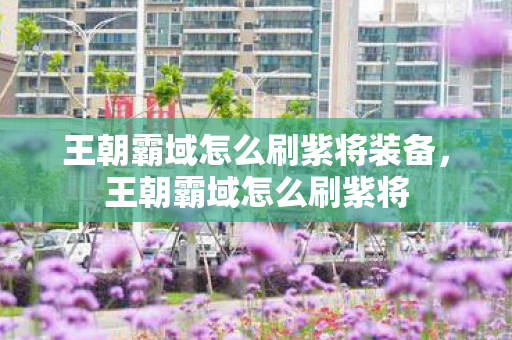 王朝霸域怎么刷紫将装备,王朝霸域怎么刷紫将 王朝霸域怎么刷紫将装备,王朝霸域怎么刷紫将