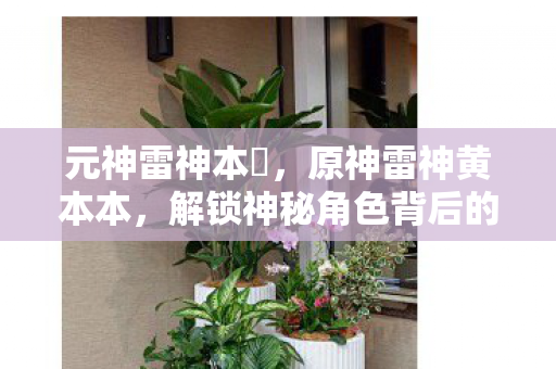 元神雷神本孒,原神雷神黄本本,解锁神秘角色背后的故事 元神雷神本孒,原神雷神黄本本,解锁神秘角色背后的故事