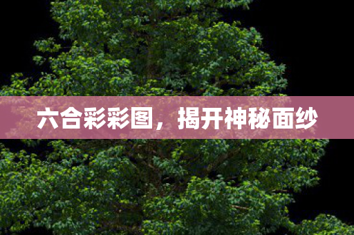六合彩彩图,揭开神秘面纱 六合彩彩图,揭开神秘面纱