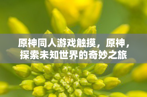 原神同人游戏触摸，原神，探索未知世界的奇妙之旅