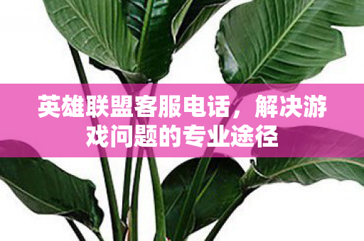 英雄联盟客服电话,解决游戏问题的专业途径 英雄联盟客服电话,解决游戏问题的专业途径