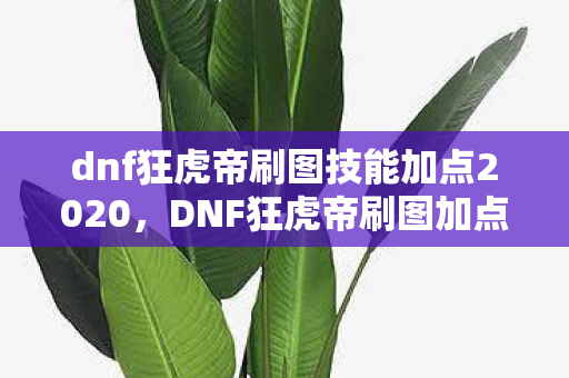 dnf狂虎帝刷图技能加点2020，DNF狂虎帝刷图加点攻略，打造高效战斗体验