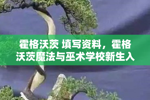 霍格沃茨 填写资料,霍格沃茨魔法与巫术学校新生入学资料填写指南 霍格沃茨 填写资料,霍格沃茨魔法与巫术学校新生入学资料填写指南
