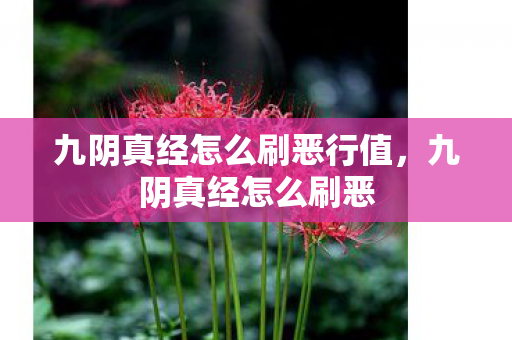 九阴真经怎么刷恶行值,九阴真经怎么刷恶 九阴真经怎么刷恶行值,九阴真经怎么刷恶
