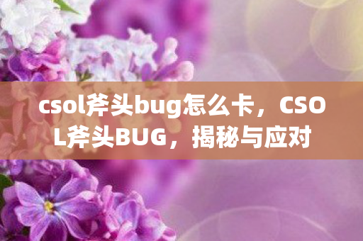csol斧头bug怎么卡,CSOL斧头BUG,揭秘与应对 csol斧头bug怎么卡,CSOL斧头BUG,揭秘与应对