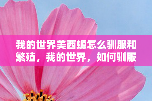 我的世界美西螈怎么驯服和繁殖,我的世界,如何驯服美西螈 我的世界美西螈怎么驯服和繁殖,我的世界,如何驯服美西螈