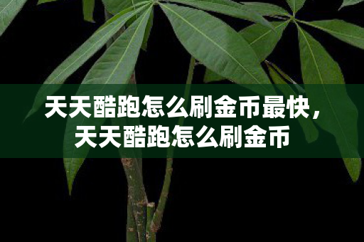 天天酷跑怎么刷金币最快,天天酷跑怎么刷金币 天天酷跑怎么刷金币最快,天天酷跑怎么刷金币