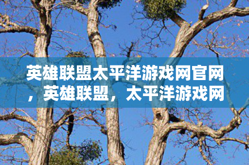 英雄联盟太平洋游戏网官网，英雄联盟，太平洋游戏网独家解析