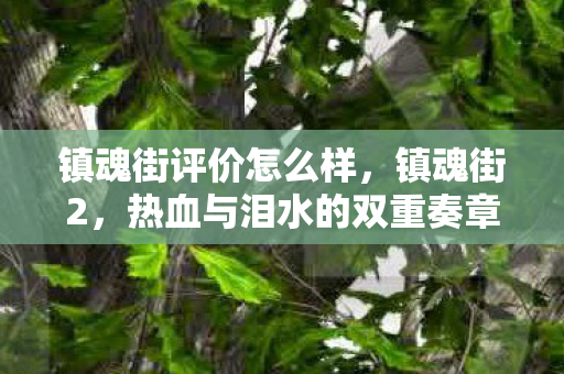 镇魂街评价怎么样,镇魂街2,热血与泪水的双重奏章 镇魂街评价怎么样,镇魂街2,热血与泪水的双重奏章