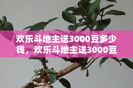 欢乐斗地主送3000豆多少钱，欢乐斗地主送3000豆，开启你的斗地主之旅！