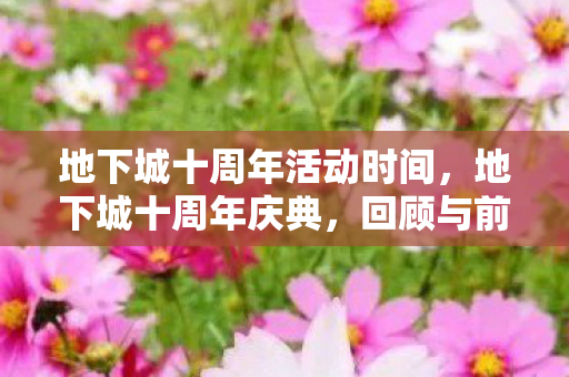 地下城十周年活动时间,地下城十周年庆典,回顾与前瞻 地下城十周年活动时间,地下城十周年庆典,回顾与前瞻