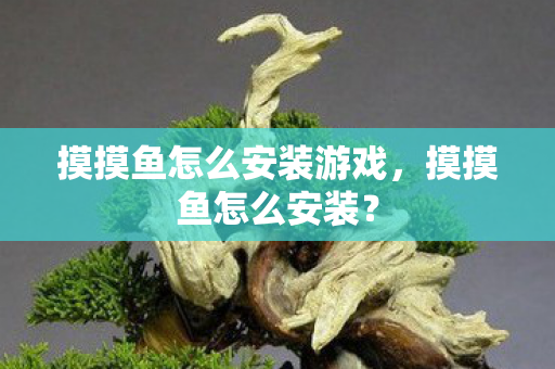 摸摸鱼怎么安装游戏，摸摸鱼怎么安装？
