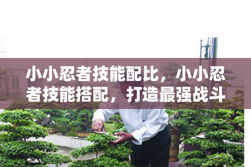 小小忍者技能配比,小小忍者技能搭配,打造最强战斗组合 小小忍者技能配比,小小忍者技能搭配,打造最强战斗组合