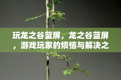 玩龙之谷蓝屏,龙之谷蓝屏,游戏玩家的烦恼与解决之道 玩龙之谷蓝屏,龙之谷蓝屏,游戏玩家的烦恼与解决之道