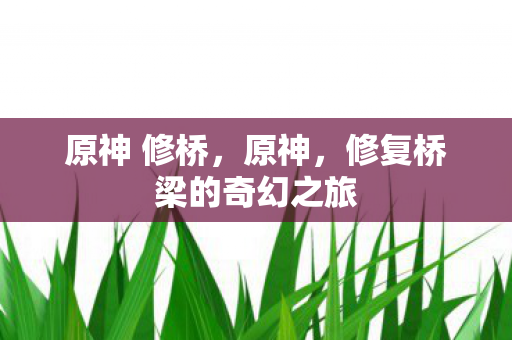 原神 修桥,原神,修复桥梁的奇幻之旅 原神 修桥,原神,修复桥梁的奇幻之旅