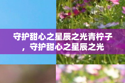 守护甜心之星辰之光青柠子,守护甜心之星辰之光 守护甜心之星辰之光青柠子,守护甜心之星辰之光