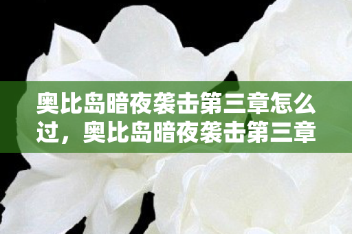 奥比岛暗夜袭击第三章怎么过,奥比岛暗夜袭击第三章,迷雾中的真相 奥比岛暗夜袭击第三章怎么过,奥比岛暗夜袭击第三章,迷雾中的真相