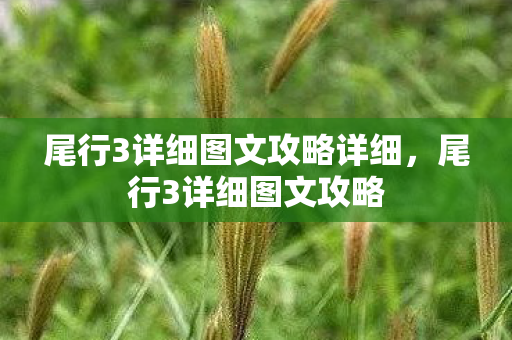 尾行3详细图文攻略详细，尾行3详细图文攻略