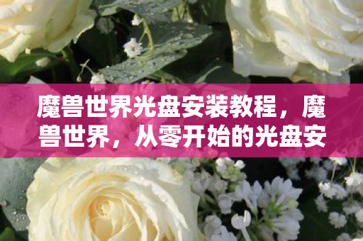 魔兽世界光盘安装教程,魔兽世界,从零开始的光盘安装指南 魔兽世界光盘安装教程,魔兽世界,从零开始的光盘安装指南