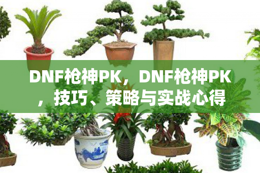 DNF枪神PK,DNF枪神PK,技巧、策略与实战心得 DNF枪神PK,DNF枪神PK,技巧、策略与实战心得