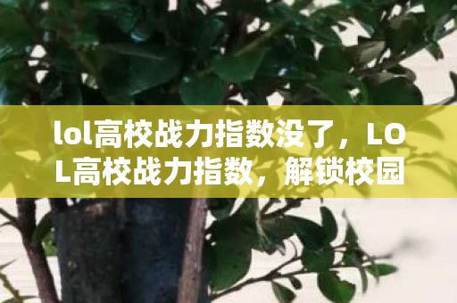 lol高校战力指数没了，LOL高校战力指数，解锁校园电竞新纪元