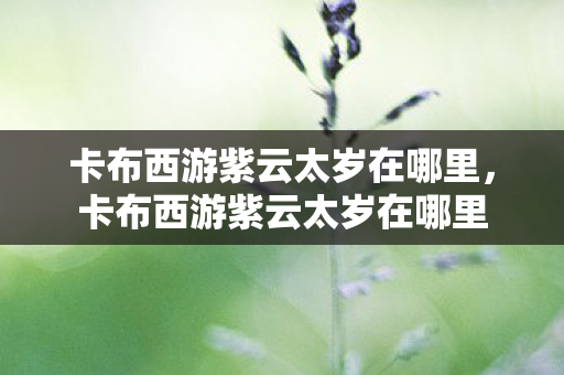 卡布西游紫云太岁在哪里,卡布西游紫云太岁在哪里 卡布西游紫云太岁在哪里,卡布西游紫云太岁在哪里