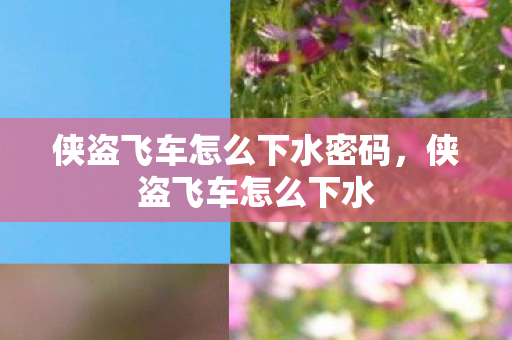 侠盗飞车怎么下水密码，侠盗飞车怎么下水