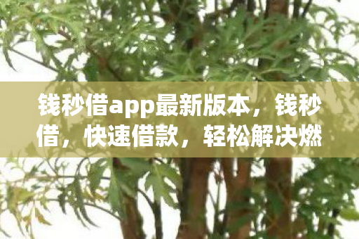 钱秒借app最新版本,钱秒借,快速借款,轻松解决燃眉之急 钱秒借app最新版本,钱秒借,快速借款,轻松解决燃眉之急
