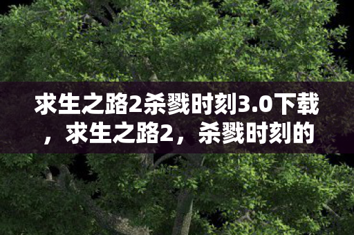 求生之路2杀戮时刻3.0下载,求生之路2,杀戮时刻的生死抉择 求生之路2杀戮时刻3.0下载,求生之路2,杀戮时刻的生死抉择