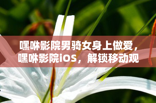 嘿咻影院男骑女身上做爱,嘿咻影院iOS,解锁移动观影新体验 嘿咻影院男骑女身上做爱,嘿咻影院iOS,解锁移动观影新体验