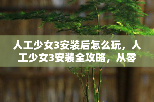 人工少女3安装后怎么玩，人工少女3安装全攻略，从零开始打造你的虚拟世界