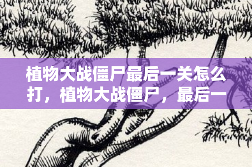 植物大战僵尸最后一关怎么打,植物大战僵尸,最后一关的终极挑战 植物大战僵尸最后一关怎么打,植物大战僵尸,最后一关的终极挑战