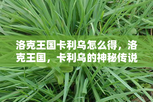 洛克王国卡利乌怎么得，洛克王国，卡利乌的神秘传说
