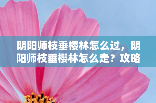 阴阳师枝垂樱林怎么过,阴阳师枝垂樱林怎么走?攻略详解 阴阳师枝垂樱林怎么过,阴阳师枝垂樱林怎么走?攻略详解