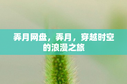 弄月网盘,弄月,穿越时空的浪漫之旅 弄月网盘,弄月,穿越时空的浪漫之旅